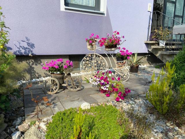 Haus Lila Welle Διαμέρισμα Nordhalben Εξωτερικό φωτογραφία